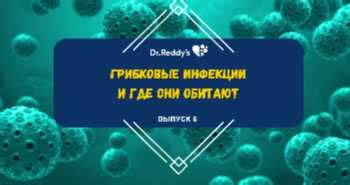 Грибковые инфекции: каким образом они возникают и как справиться