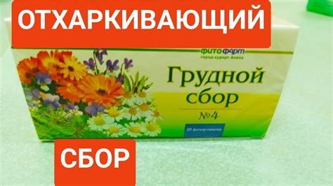 Грудной сбор 4: применение, преимущества и методы использования