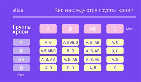 Группа крови: влияние резус-фактора