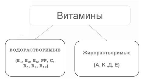 Группы витаминов и их классификация