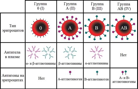 Группы крови и их значения