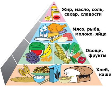 Группы продуктов и важность разнообразия: баланс питания