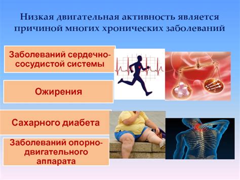 Двигательная активность и предотвращение заболеваний