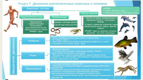 Движение животных: процесс и связь