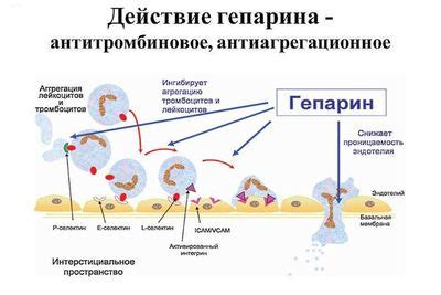 Действие долобене