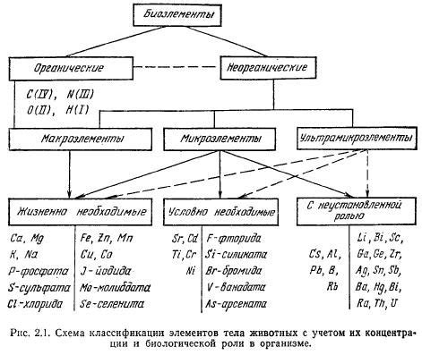 Действие минеральных элементов