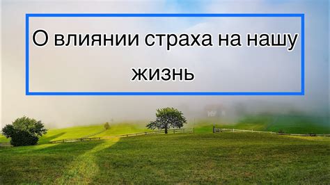 Действуйте и преодолевайте страхи на пути к счастливой жизни!