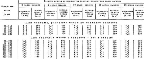 День 3: таблица привеса