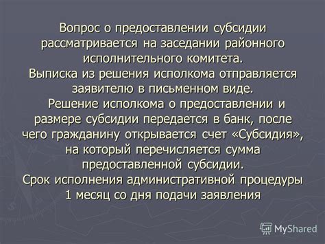 Детальный обзор критериев принятия решения о предоставлении субсидии