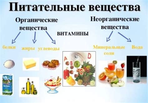 Дефицит питательных веществ и витаминов