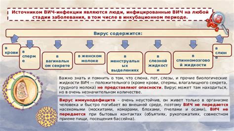 Диагноз положительного инфицированного: что важно знать?