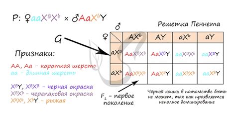 Диагностика аутосомных несцепленных признаков