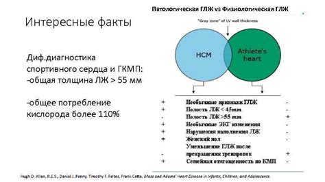 Диагностика глж риска 4