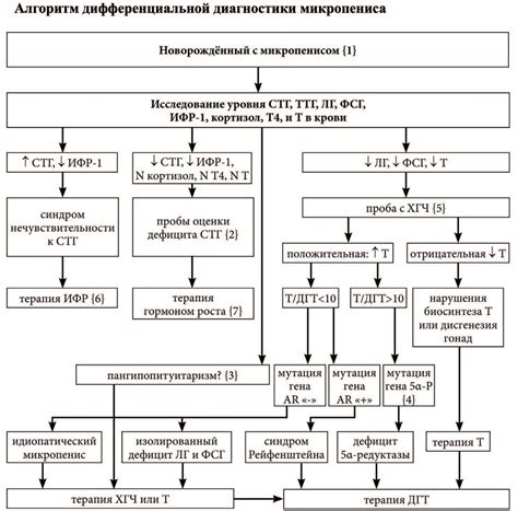 Диагностика гомка