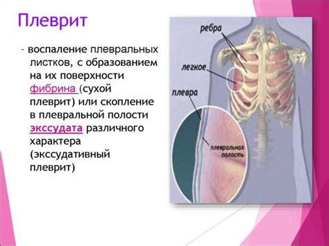 Диагностика наличия шевеления под ребром