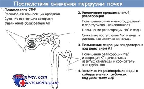 Диагностика нарушения водно-солевого баланса