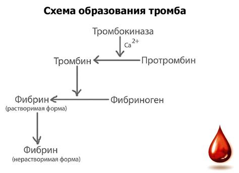 Диагностика недостаточного уровня протромбина