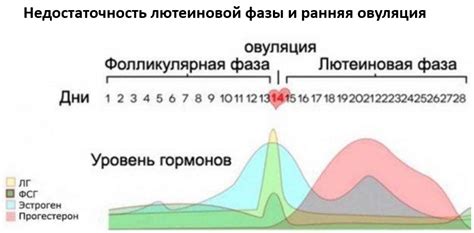 Диагностика недостаточности лютеиновой фазы