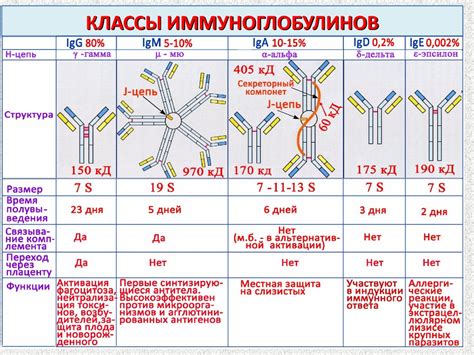 Диагностика низкого уровня иммуноглобулинов