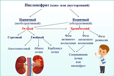 Диагностика пиелонефрита: