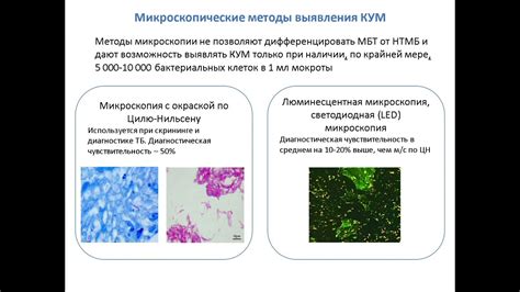 Диагностика туберкулеза крови