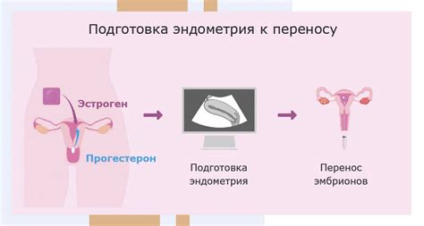 Диагностика эндометрия истонченного