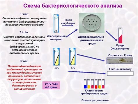 Диагностические методы для подтверждения ацетобелого эпителия