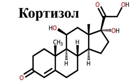 Диапазон нормальных значений кортизола