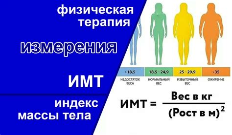 Длина тела: что говорит данный показатель