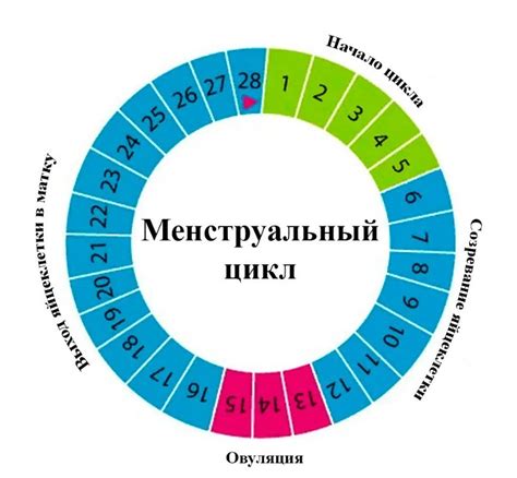 Длительные месячные: возможные причины и что делать