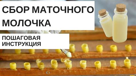 Дополнительные виды продуктов на основе адсорбированного маточного молочка