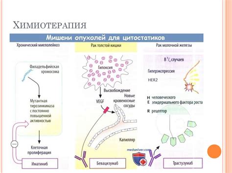 Дополнительные методы лечения кровоточащих новообразований