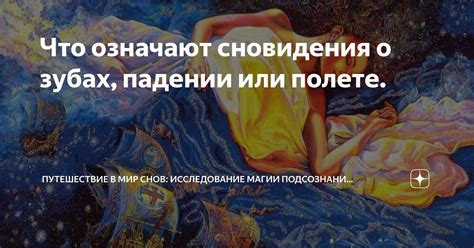 Достижение свободы или бегство: различные истолкования снов о полете на аэроплане