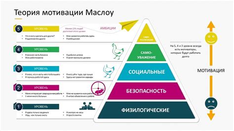 Еда как удовлетворение физиологических потребностей