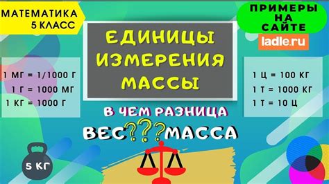 Единица измерения массы: килограмм, фунт, грамм