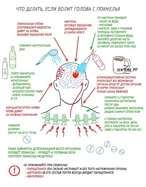 Если голова болит с похмелья: что делать?