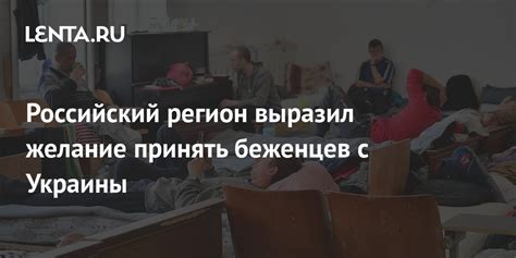 Желание принять бездомное маленькое создание под свой крышей