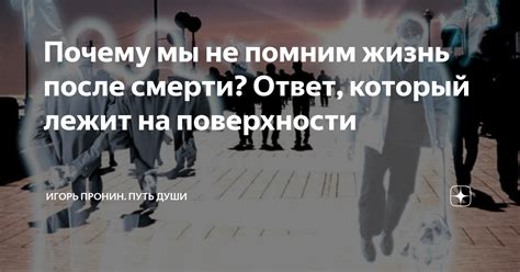 Забытая история: почему мы уже не помним