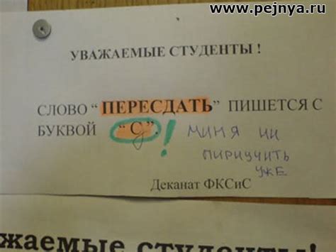 Зависимость от учебного заведения: какие факторы руководствуют выплатами после летней сессии?