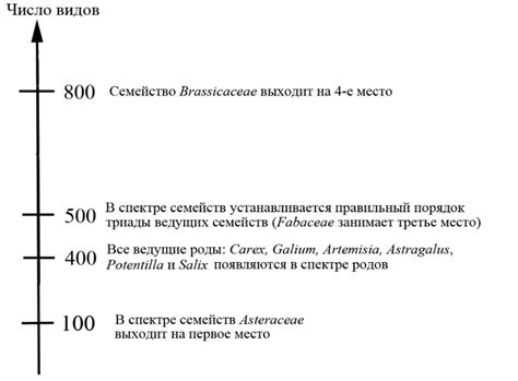 Зависимость угла рассвета от географического положения