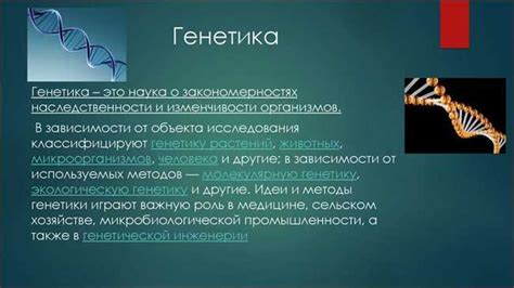 Загадка прозрачных яблок: болезнь, генетика или особенность?