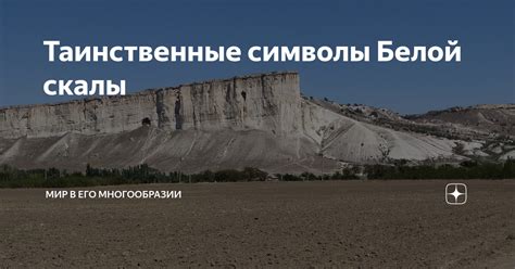 Загадочные значения снов: таинственные символы белой норки на голове