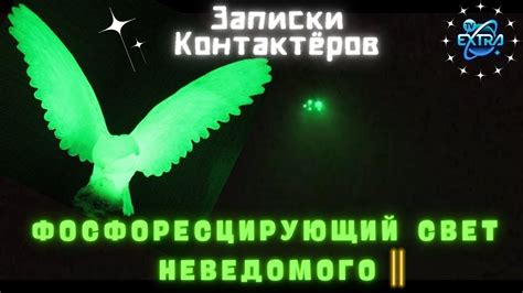 Загадочные послания кровавого спутника: что женщина слышит в своих сновидениях?