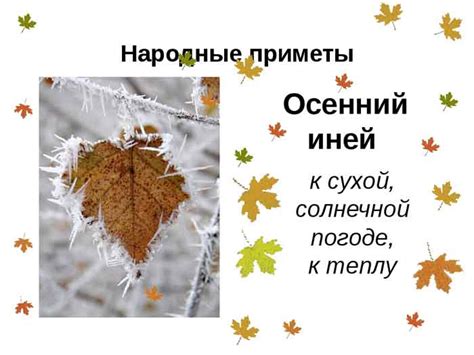 Загадочные рассказы и народные верования о приметах, связанных с ценными красными ягодами в сновидениях