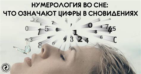 Загадочный символ во сновидениях: что имеется в виду, когда видишь плоды тополиных деревьев?