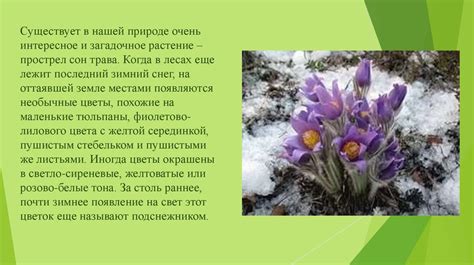 Загадочный сон о жатве цветов: как расшифровать его значение?