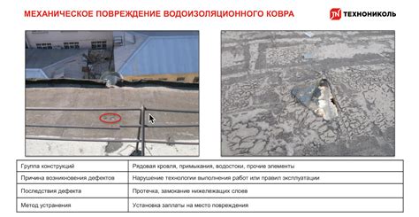 Заголовок 1.4: Профессиональные методы устранения проблем с протечками на крыше