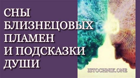 Заголовок 3: Интерпретация снов с хвоями пихты