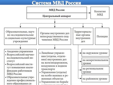 Задачи и функции территориального органа ПФР