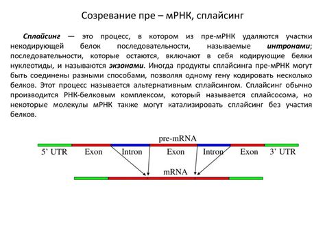 Закономерности передачи доминантного генома